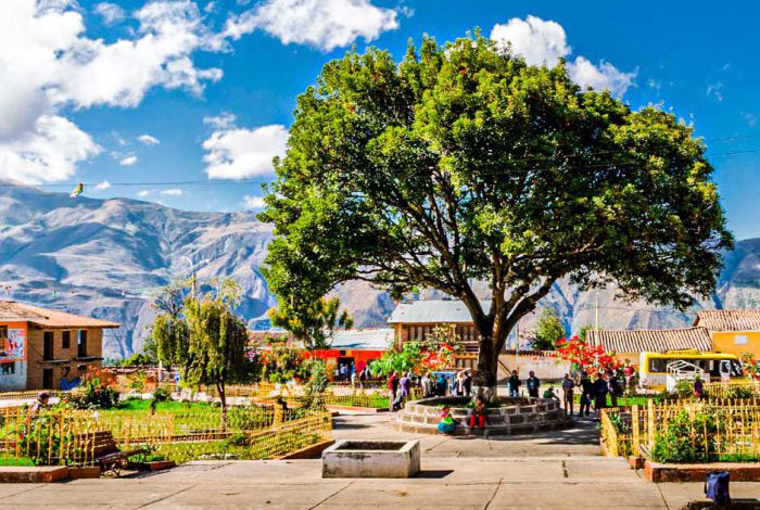 Bus Directo de Cusco a Mollepata + Desayuno Buffet (Sólo Ida)