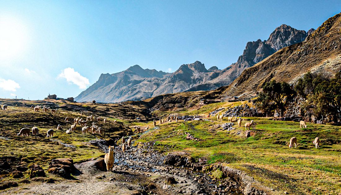 Tour Montaña de 7 Colores Vinicunca