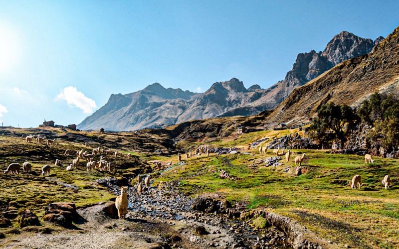 Camino a Cusipata tour Montaña de Colores